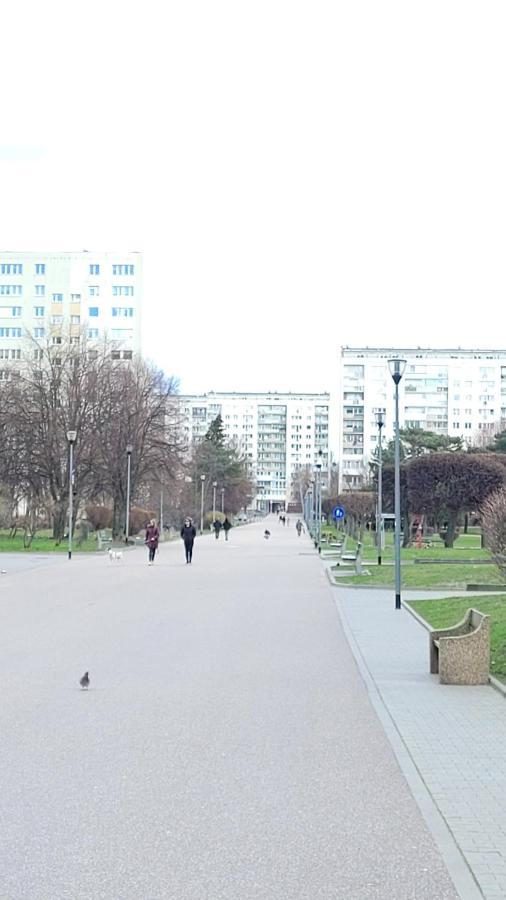 Apartament Zabcia - Przy Skm Zabianka Kolo Sopotu Gdańsk Exterior foto